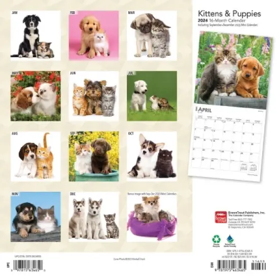 Browntrout 2024 Wall Calendar 12"x12" Kittens & Puppies image {1}