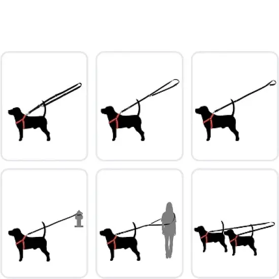 DDOXX 6.6 ft 3-Way Adjustable Small Nylon Dog Leash - Blue image {2}