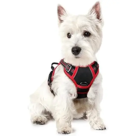 rabbitgoo Dog Harness No Pull with 2 Leash Clips, Control Handle for Puppy, Black & Red, XS image {1}