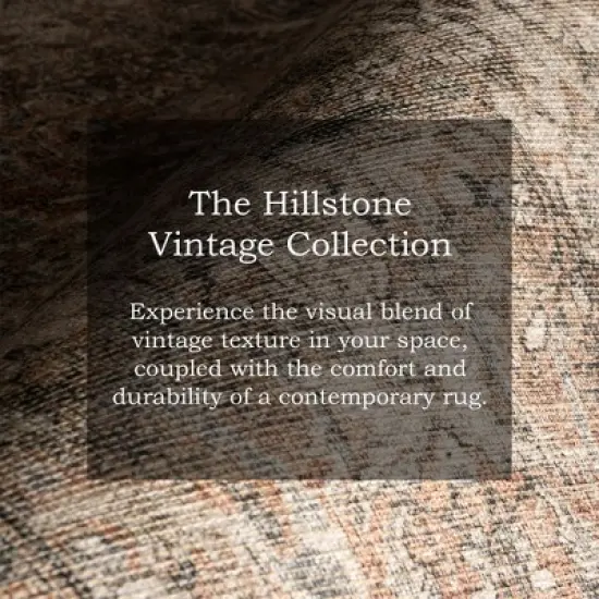 Nuloom Hillstone Collection Deka Traditional Vintage Medallion Area Rug image {4}