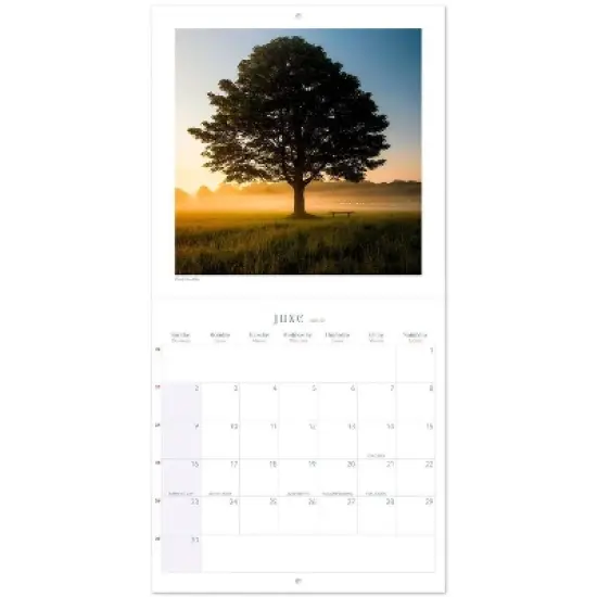 TF Publishing 2024 Wall Calendar 11.8"x11.5" Zen Nature Bilingual image {2}