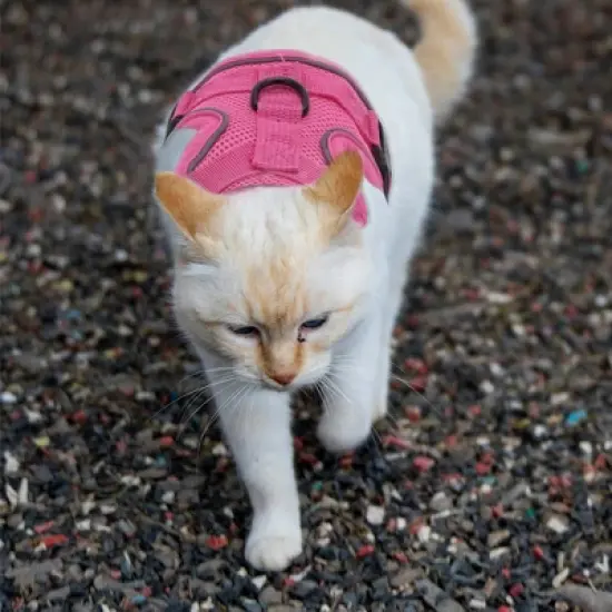 Unique Bargains Cat Harness and Leash with Reflective Strips Large Rose Red 1 Set image {5}