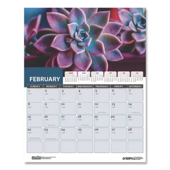 House of Doolittle Recycled Succulent and Cacti Wall Calendar 12-Month January 2026 to December 2026 Multicolor Sheets 14 x 11 image {2}