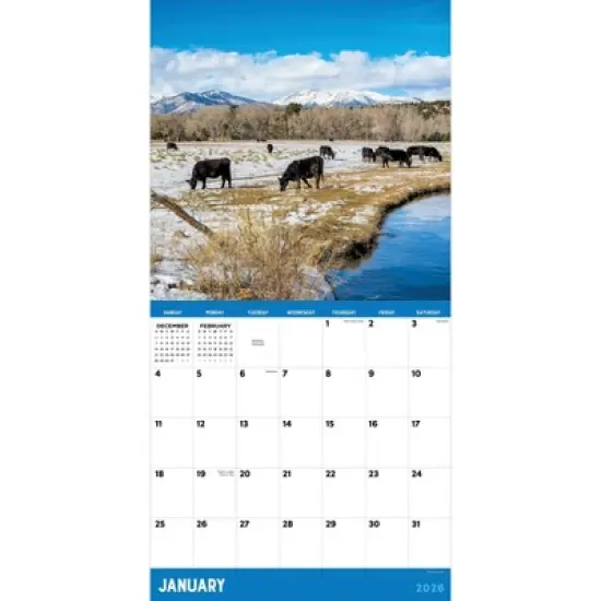 TF Publishing 13.5"x14.5" 2026 Ranch Life Wall Calendar image {5}