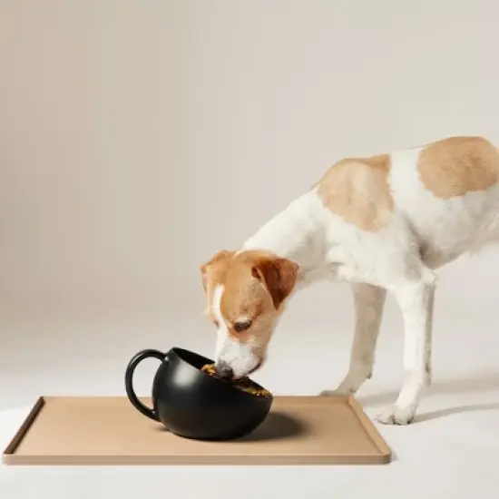 DogBuddy Dog Bowl, Dog Bowls for Large Dogs, Non-Slip Dog Bowl, Dog Water Bowl, Dog Food Bowls image {4}