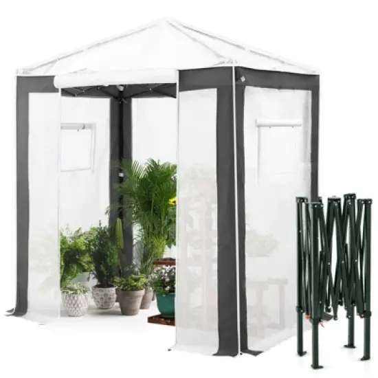 EAGLE PEAK 8x8 Portable Walk in Greenhouse , Heavy Duty Pop Up Green House, Front Roll Up Zipper Entry Door and Mesh Windows image {8}