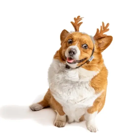 Midlee Furry Antlers Dog Headband image {2}