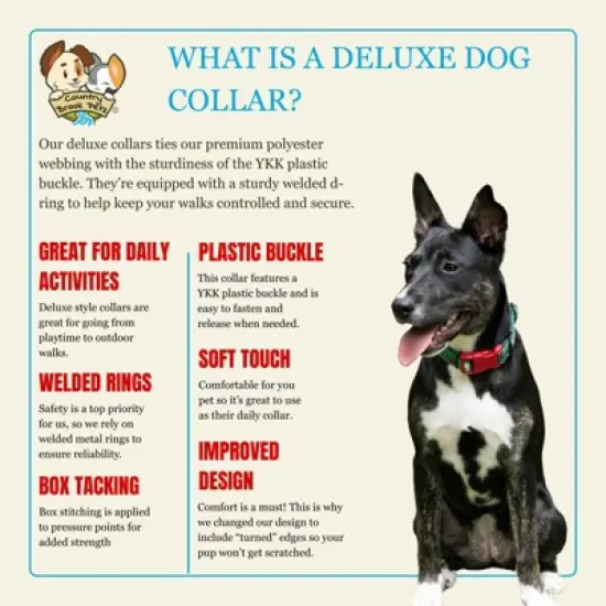 Country Brook Petz&reg; Deluxe Dog Collar - Attitude Collection - Made In The U.S.A. image {1}