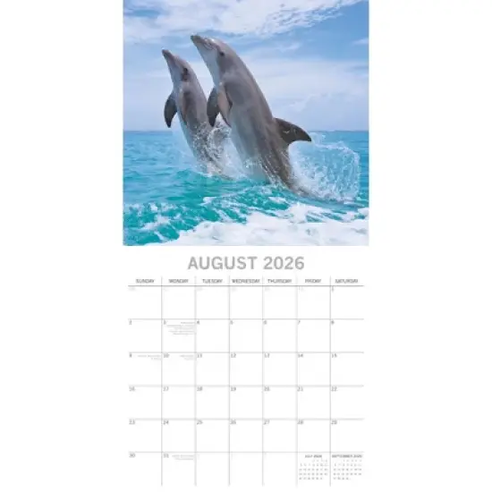 2026 Square Wall Calendar, Dolphins, 16-Month Animals Theme with 180 Reminder Stickers (12x12 In) image {2}