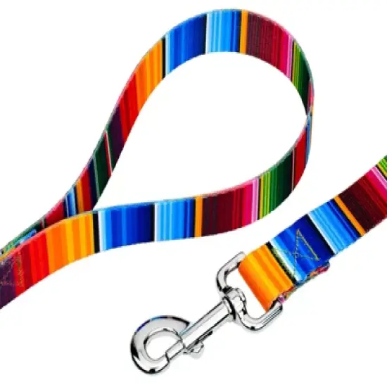 Country Brook Petz Serape Dog Leash (4 Foot, 5/8 Inch Wide) image {1}