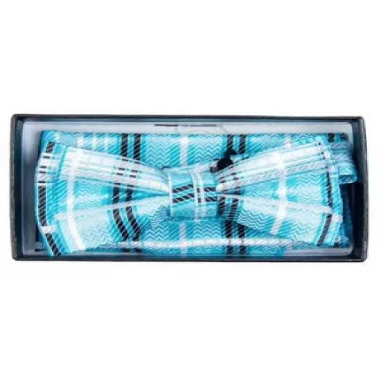 Young Boy's Fancy Pre-tied Adjustable Band Bow Tie With Hanky image {4}