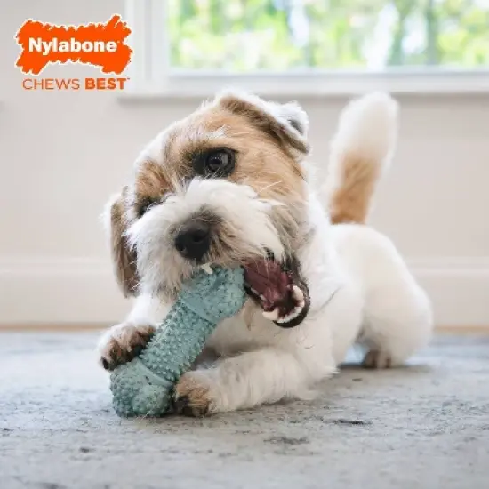 Nylabone Strong Rubber Small Dog Barbell Toy - Blue image {3}