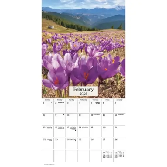 Trends International 2026 Nature's Bouquet 12"x12" Wall Calendar image {2}