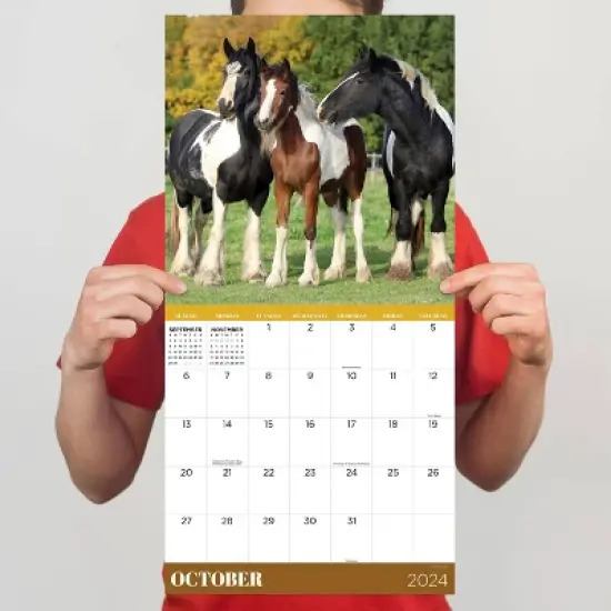 TF Publishing 2024 Wall Calendar 12"x12" Horses image {3}