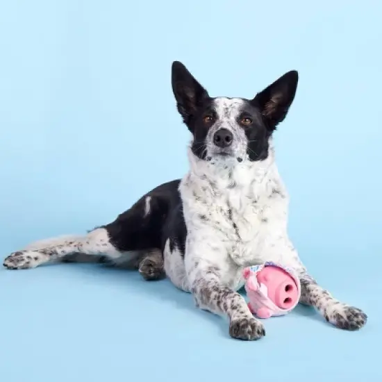 BARK Super Chewer Pig Dog Toy - Hambone image {7}