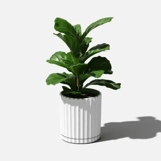 Veradek Demi Series Demi 6'' Planter image {7}