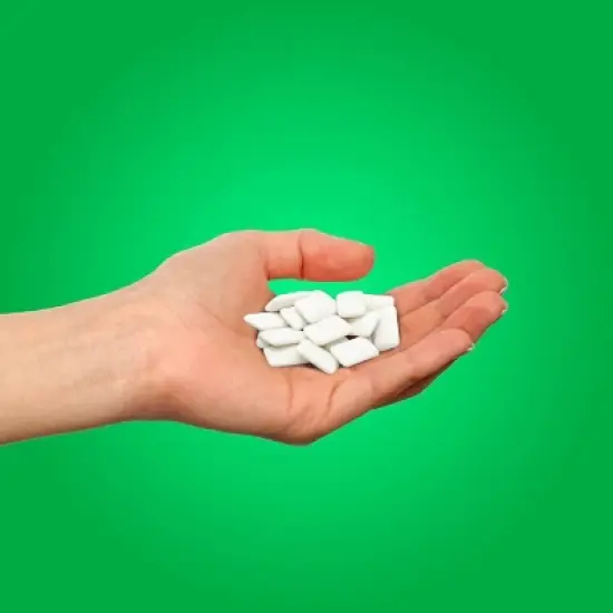Pur Gum Spearmint Bag - 2.72oz image {3}