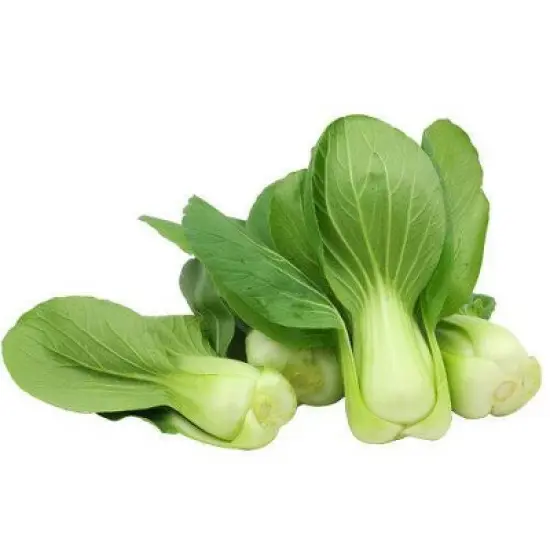 Fresh Baby Bok Choy - 1lb Bag image {2}
