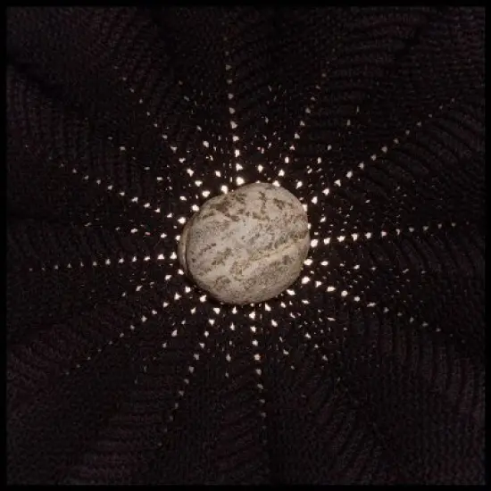 Nat Baldwin - In the Hollows image {2}