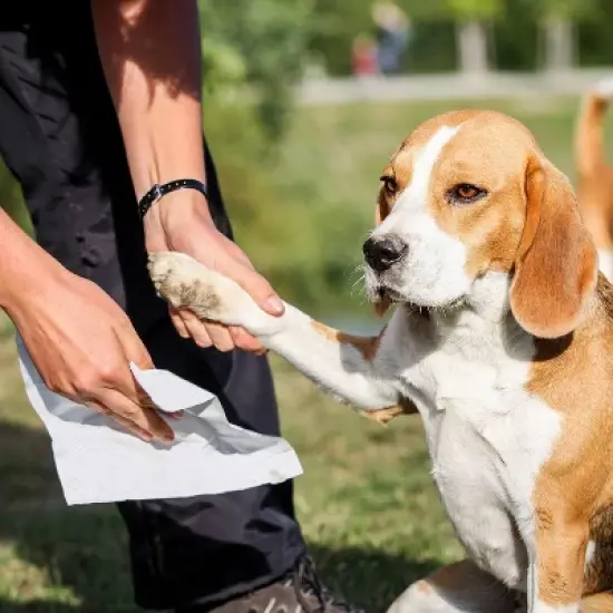 Inspire Naturals Pet Wipes for Dogs and Cats 100% Natural Plant Based with Organic Antioxidants, Dog Wipes/Cat Wipes | Puppy Wipes image {1}