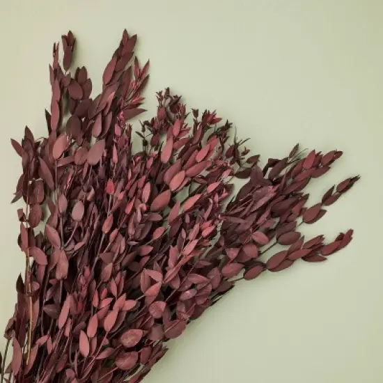 25" Preserved Eucalyptus Fall Bundle - Hearth & Hand&trade; with Magnolia image {2}