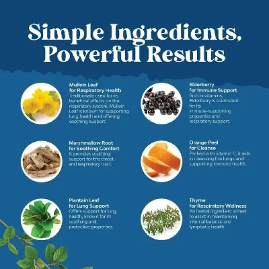 Organic Lung Cleanse Drops, Mullein Leaf Cleanse & Detox Supplement, Tincture Drops for Respiratory Lung Health, Nature's Craft, 120mL image {4}