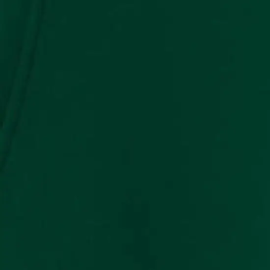 Five Nights at Freddy's Big Freddy Face Boy's Forest Green Sweatshirt image {2}