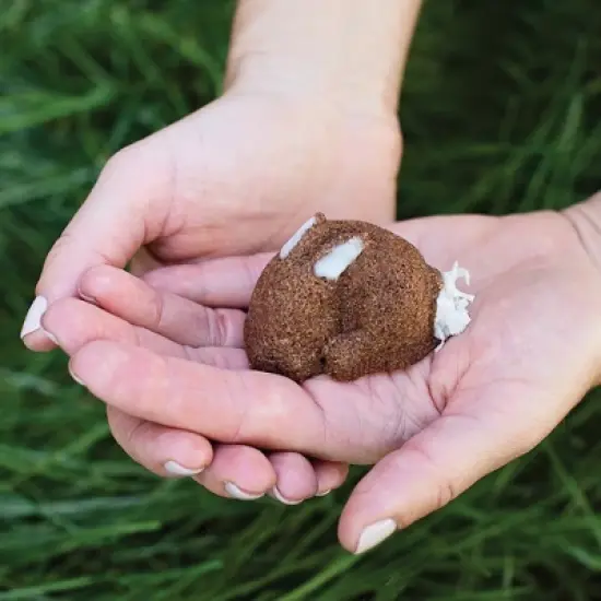 Nordic Ware Baby Bunny Bites Cakelet Pan image {2}