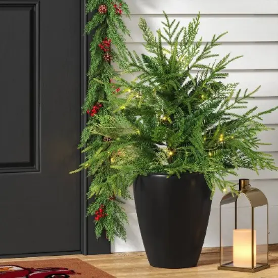 24" Pre-Lit Christmas Norfolk Cedar Artificial Greenery with Ground Stake - Wondershop&trade; image {1}