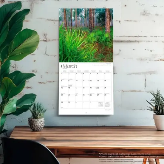 BrownTrout National Parks 2026 12"x24" Hanging Square Wall Calendar Plastic-Free image {4}