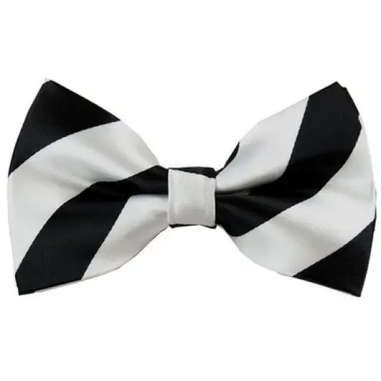 Men's 2.75 W And 4.75 L Inch With Pre-Tied College Stripe Bowtie image {22}
