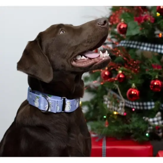 Country Brook Petz Snowman Martingale Dog Collar image {4}