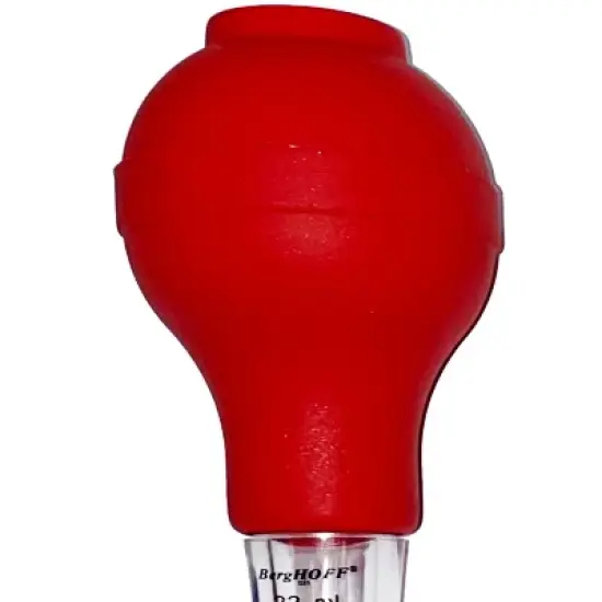 BergHOFF Turkey Baster Set image {1}