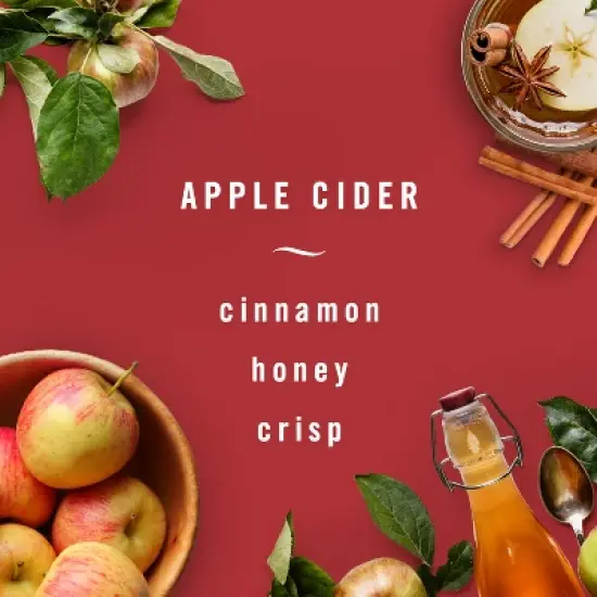 Febreze Odor-Fighting Fade Defy Plug Air Freshener Refill - Apple Cider - 2.63 fl oz/3pk image {3}