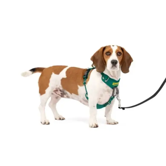 PetSafe Comfort No Pull Adjustable Dog Harness - Green image {8}