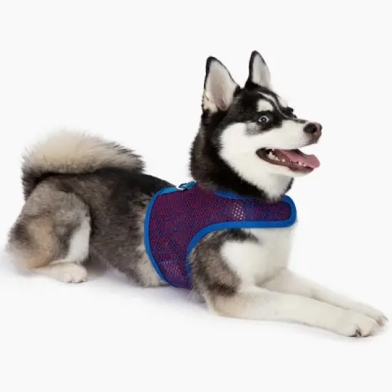 Doggie Design Active Mesh Dog Harness with Leash - Blue & Red image {3}