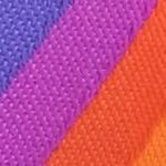 The Worthy Dog Rainbow Dog Leash image {2}