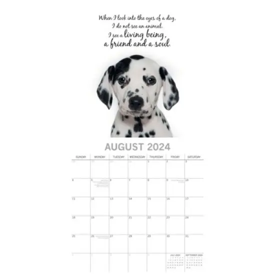 The Gifted Stationery 2024 Square Wall Calendar, Adorable Dogs, 16-Month Animals Theme with 180 Reminder Stickers (12 x 12 In) image {2}
