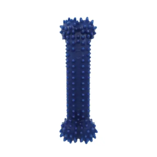 Nylabone Dental Chew Bone - Chicken Flavor(Wolf) image {1}