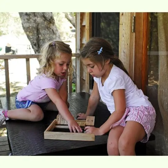 WE Games Shut the Box Board Game, Solid Natural Wood with Dice - 9 Number flip tiles, 11 inches, for Family and Adult Game Night Play in Classroom, image {3}