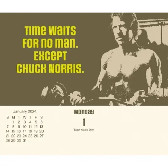 Trends International Inc. 2024 Daily Desk Calendar 4.25"x5" Chuck Norris image {2}