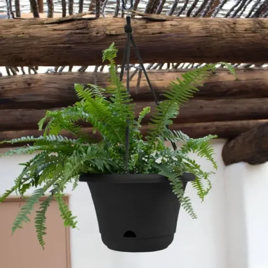 Bloem 13" Wide  Lucca Self Watering Hanging Basket image {2}