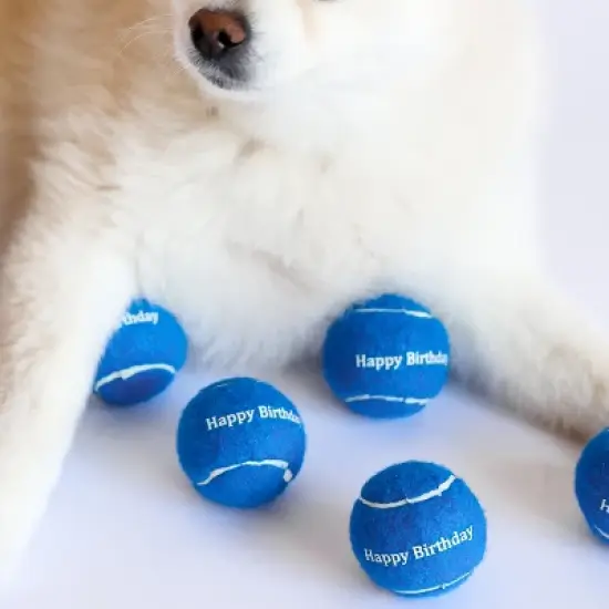 Midlee Blue Happy Birthday Dog Tennis Balls image {5}