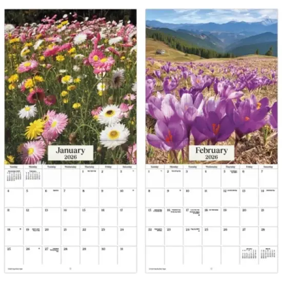 Trends International 2026 Nature's Bouquet 12"x12" Wall Calendar image {4}