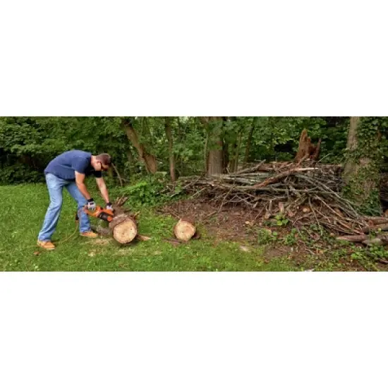 Black & Decker 12 Amp 16" Chainsaw image {6}