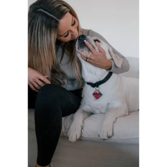 QALO TraQ Powered By Tile Dog and Cat Silicone Bluetooth Trackable Pet ID Tag - Red image {4}