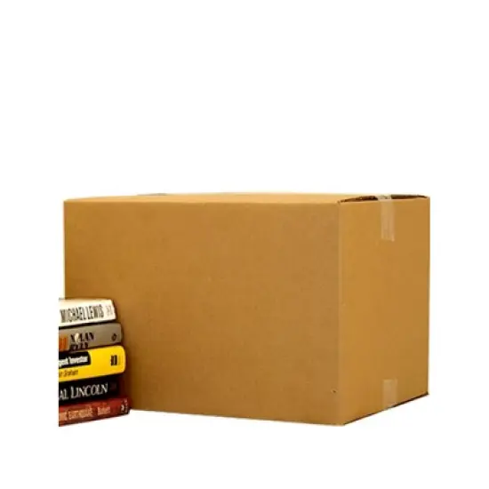UBMOVE Pack of 15 Small Shipping Boxes 16"x10"x10" Cardboard Boxes image {1}