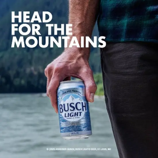 Busch Light American Lager Beer - 6pk/16 fl oz Cans image {3}