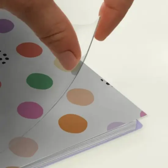 Blue Sky Brook Gossen Planner Notes Clear PET 5.875"x8.625" Weekly/Monthly Wirebound (12 Month) Rainbow Confetti Undated image {11}