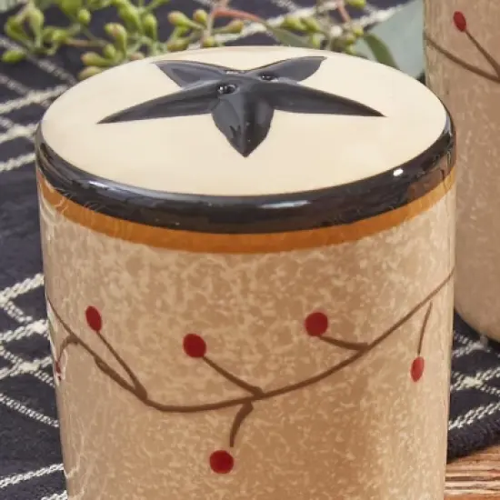 Park Designs Star Vine Salt and Pepper Set image {2}